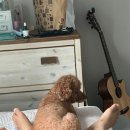 팡팡게임장 | [대구 여행] 뚜벅이 대구첫여행
