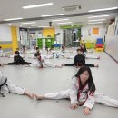 경희대 석사 세심 태권도 이미지