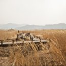 가시리농촌체험휴양마을 이미지