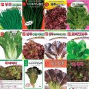 고수농장 이미지