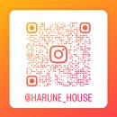 하루네(harune)