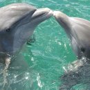 기권농장 이미지