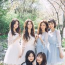 바바(BaBa) 이미지