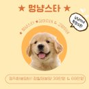 스타메디컬프라자 이미지