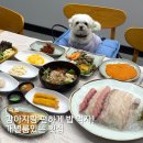 서동횟집 | 속초 대포항 애견동반 식당 강아지동반 룸 분리된 횟집