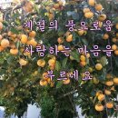 나무마당 이미지