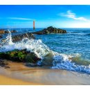 정동진역 이미지