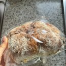 메종드빵 | 메종드하동 치아바타빵 후기, 발효빵으로 만든 치아바타샌드위치 아침식사대용 추천