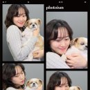 작디작은 집 이미지