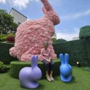 청도아파트 경로당 이미지