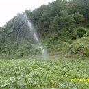 양일로2L 이미지