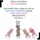 금광농협주유소 이미지