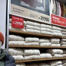 세일테크 | 유니클로 감사제 세일 추천템! 경량패딩 퍼프테크 컴팩트 베스트 후기