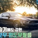 에이스카프라자 이미지