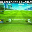 영스크린골프