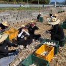 경성대학교 이미지