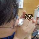 스테이 인가 이미지