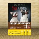 응답하라 몽몽이 이미지