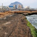 바위섬 민박 이미지