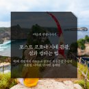동국관광주 이미지