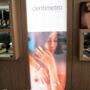 럭스베네에디션 이미지