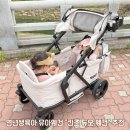 육아는 장비빨 유아웨건 “킨즈 듀오 웨건” 내돈내산 후기