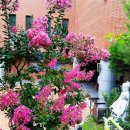 백일홍동산 이미지