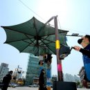 그늘막57 이미지