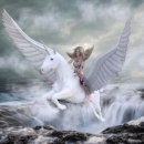 페가수스 이미지