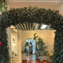 라셀라웰즈의원 이미지