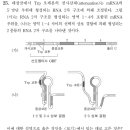 2019년 25번 이미지