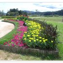 (주)코스모스 이미지