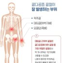 도당태권도장 이미지