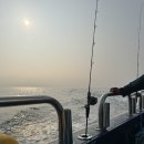히트피싱 | 군산항 “아리울1호” 참돔 7.5자 나오다!! 광어 참돔낚시 리얼 후기 *내돈내산* 히트피싱 낚시 조인 추천