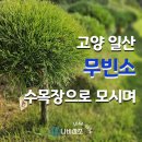 국민건강보험 일산병원 장례식당 | 일산 무빈소장례, 건강보험공단 일산병원장례식장에서 수목장까지 진심을 다한 가족장 후기