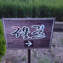 동개정마을