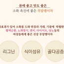 무의 효능/무청의 효능/무우의 효능/무우청의 효능/무의 부작용/무 먹는방법 이미지