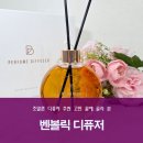 프로티문구 | 조말론 디퓨저 추천 고민 끝에 골라 본 벤볼릭