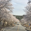 중동센트럴파크푸르지오경로당 | 커튼명가창부천점 약대위브트레지움 중동센트럴파크푸르지오 베이지커튼 나비주름차르르커튼 거실커텐...