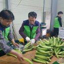 우성농협 이미지