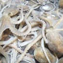 낙지대장 - 고양시 덕양구 대주로 121-7 | 낙지대장