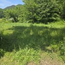 올리브부동산중개사무소 이미지