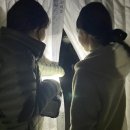 다희농장 이미지