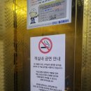 팔도민박 | 에버랜드근처숙소 기흥호텔 숲 1박 후기