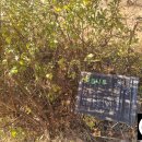 의료근린공원 이미지