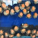 (주)모드 이미지