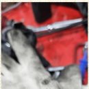 맘편한모터스 이미지