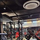 머슬엑스짐 이미지