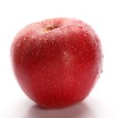 효성과일 이미지