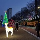 운천천시민공원의빛축제구경하세요 이미지